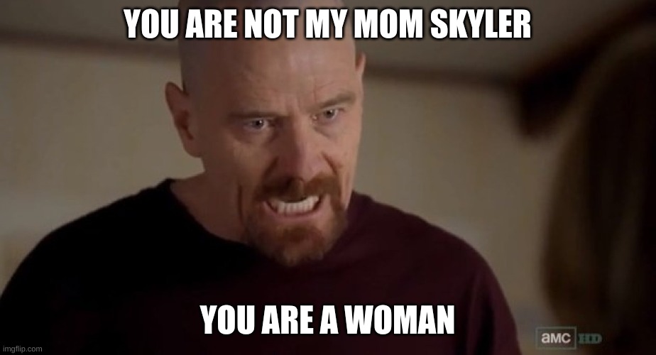 I am the one who knocks | YOU ARE NOT MY MOM SKYLER; YOU ARE A WOMAN | image tagged in i am the one who knocks | made w/ Imgflip meme maker