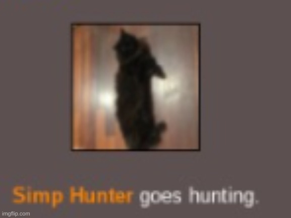 he is coming | image tagged in simp hunter | made w/ Imgflip meme maker