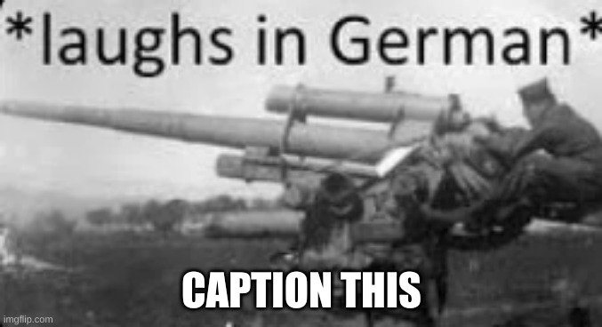 Search "laughs in german" in meme templates | CAPTION THIS | image tagged in laughs in german | made w/ Imgflip meme maker