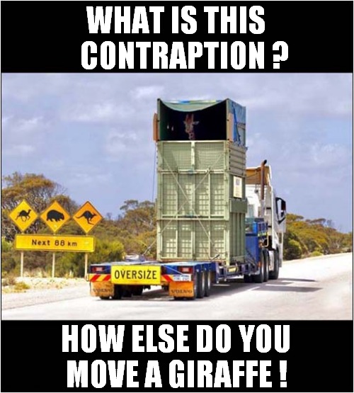 No Low Bridges Please ! | WHAT IS THIS    CONTRAPTION ? HOW ELSE DO YOU
MOVE A GIRAFFE ! | image tagged in fun,giraffe,transport | made w/ Imgflip meme maker