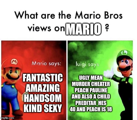 Mario Bros Views | MARIO; FANTASTIC AMAZING HANDSOM KIND SEXY; UGLY MEAN MURDER CHEATER PEACH PAULINE AND ALSO A CHILD PREDITAR  HES 40 AND PEACH IS 18 | image tagged in mario bros views | made w/ Imgflip meme maker
