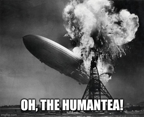 oh the humanity | OH, THE HUMANTEA! | image tagged in oh the humanity | made w/ Imgflip meme maker