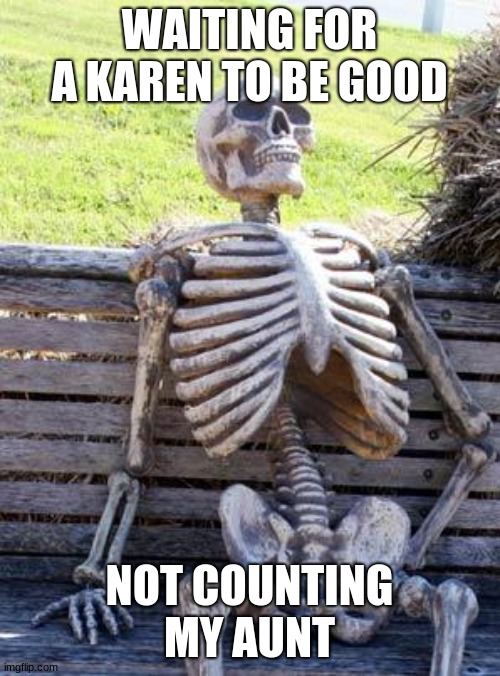 Waiting Skeleton Meme | WAITING FOR A KAREN TO BE GOOD NOT COUNTING MY AUNT | image tagged in memes,waiting skeleton | made w/ Imgflip meme maker