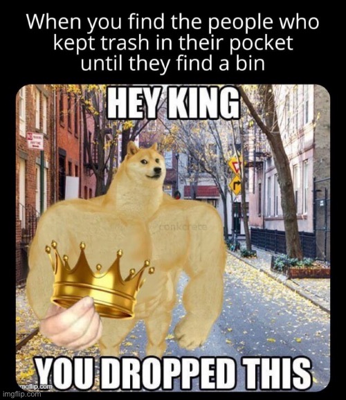 image tagged in you dropped this,memes,funny,king,buff doge,repost | made w/ Imgflip meme maker