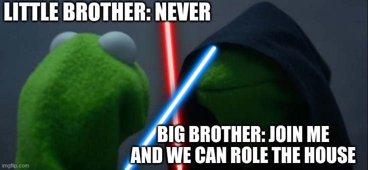 brothers | LITTLE BROTHER: NEVER; BIG BROTHER: JOIN ME AND WE CAN ROLE THE HOUSE | image tagged in fun | made w/ Imgflip meme maker