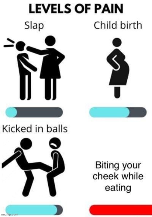 image tagged in memes | made w/ Imgflip meme maker
