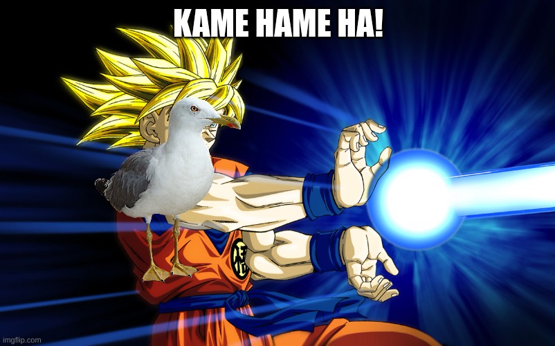 Kamehameha | KAME HAME HA! | image tagged in kamehameha | made w/ Imgflip meme maker
