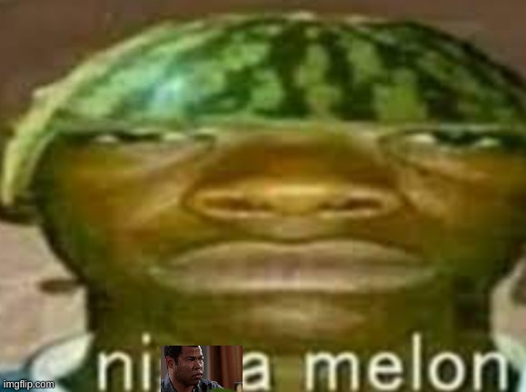 nigga melon | image tagged in nigga melon | made w/ Imgflip meme maker