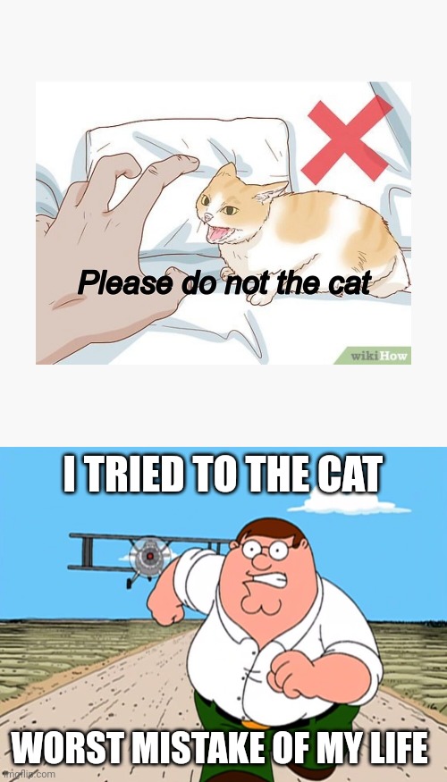 Worst mistake of my life | I TRIED TO THE CAT; WORST MISTAKE OF MY LIFE | image tagged in peter griffin running away | made w/ Imgflip meme maker