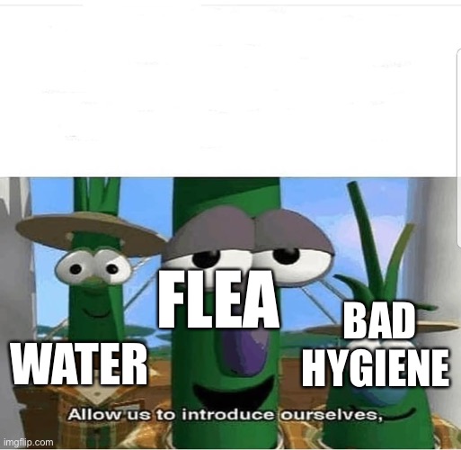 allow us to introduce ourselves | WATER FLEA BAD HYGIENE | image tagged in allow us to introduce ourselves | made w/ Imgflip meme maker