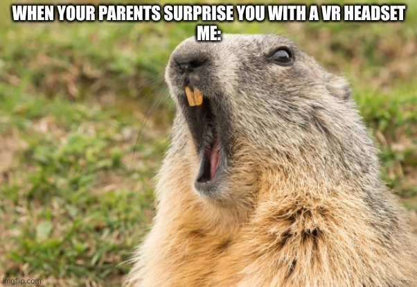 me when i get a vr headset | WHEN YOUR PARENTS SURPRISE YOU WITH A VR HEADSET
ME: | image tagged in funny animals | made w/ Imgflip meme maker