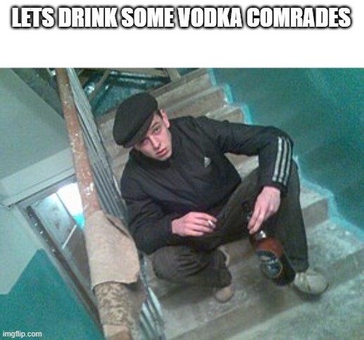 Gupnik squat | LETS DRINK SOME VODKA COMRADES | image tagged in gupnik squat | made w/ Imgflip meme maker