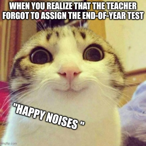 Smiling Cat | WHEN YOU REALIZE THAT THE TEACHER FORGOT TO ASSIGN THE END-OF-YEAR TEST; "HAPPY NOISES " | image tagged in memes,smiling cat | made w/ Imgflip meme maker