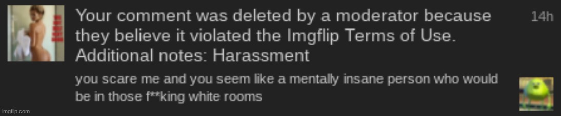 screw site mods now im banned for a day -_- | made w/ Imgflip meme maker