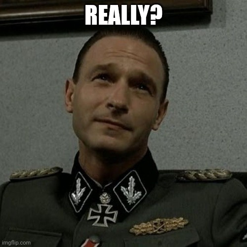 FEGELEIN | REALLY? | image tagged in funny memes | made w/ Imgflip meme maker