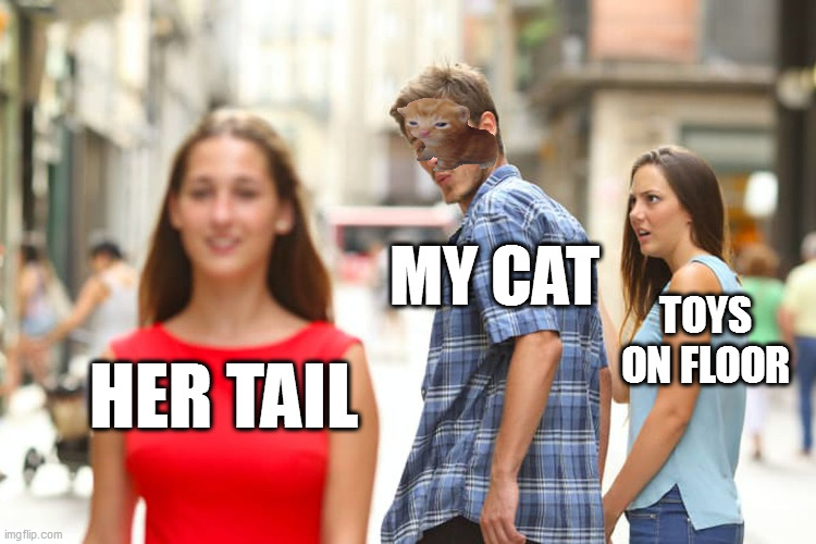 meow meow meow meow | MY CAT; TOYS ON FLOOR; HER TAIL | image tagged in memes,distracted boyfriend | made w/ Imgflip meme maker
