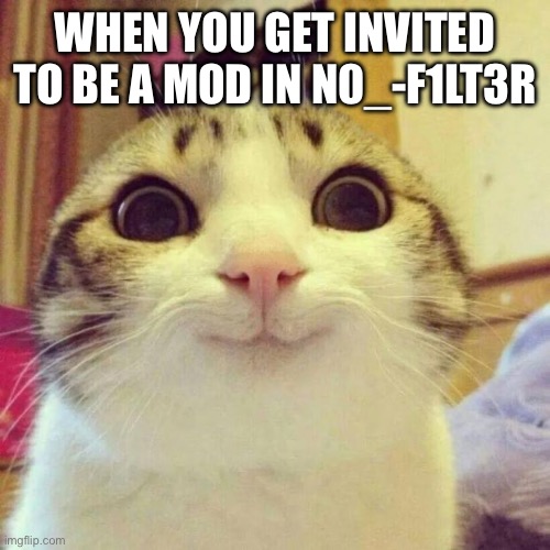 Thank you | WHEN YOU GET INVITED TO BE A MOD IN N0_-F1LT3R | image tagged in memes,smiling cat | made w/ Imgflip meme maker