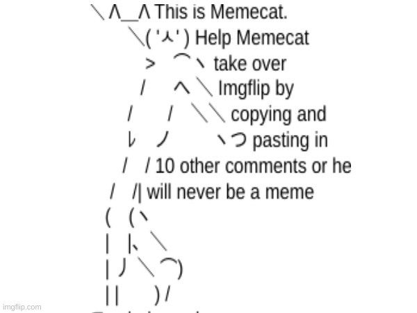 memecat needs to become meme | image tagged in memes | made w/ Imgflip meme maker
