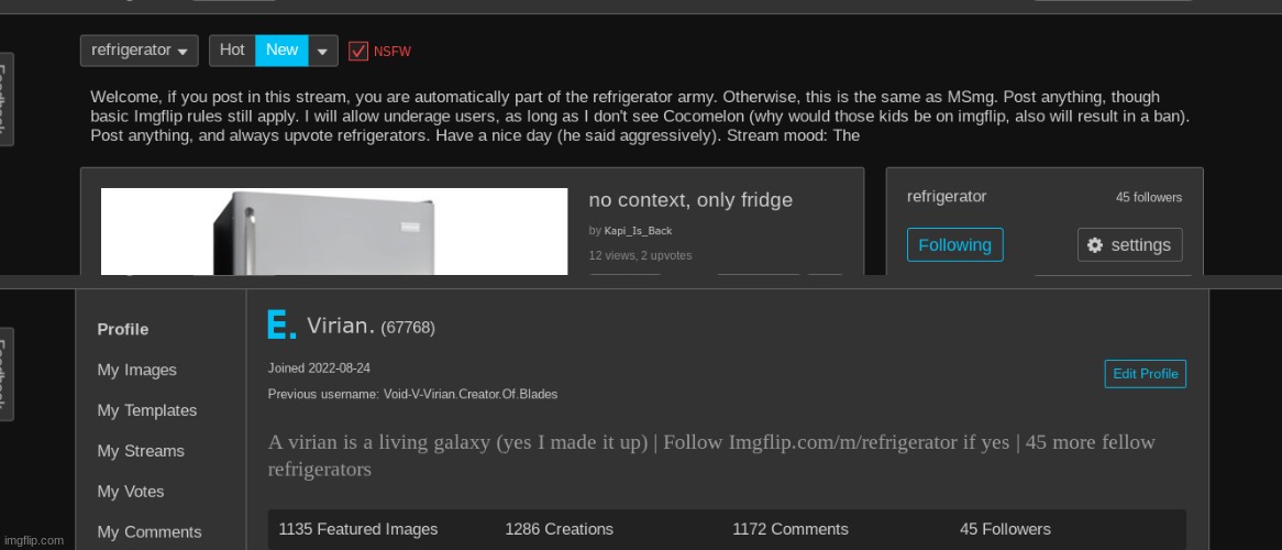 It's like we are one, me and the refrigerator stream | made w/ Imgflip meme maker
