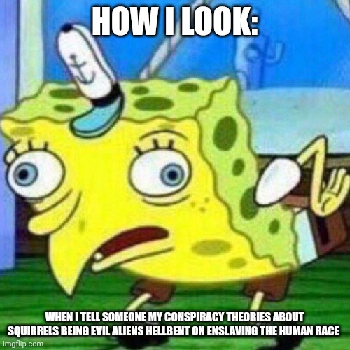How I look when sharing my conspiracy theories | HOW I LOOK:; WHEN I TELL SOMEONE MY CONSPIRACY THEORIES ABOUT SQUIRRELS BEING EVIL ALIENS HELLBENT ON ENSLAVING THE HUMAN RACE | image tagged in triggerpaul | made w/ Imgflip meme maker