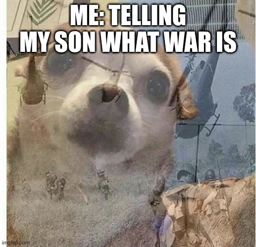 PTSD Chihuahua | ME: TELLING MY SON WHAT WAR IS | image tagged in ptsd chihuahua | made w/ Imgflip meme maker