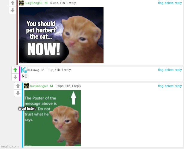 Morr kat | a cat hater | image tagged in morr kats,meme man,lovs,katts | made w/ Imgflip meme maker