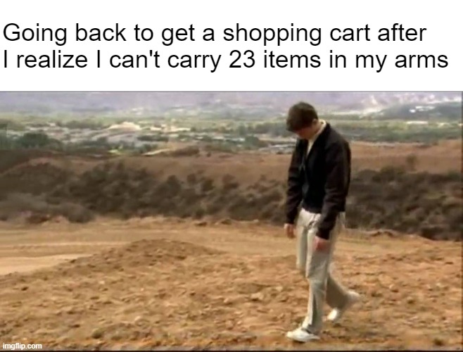 It's hard to admit defeat | Going back to get a shopping cart after I realize I can't carry 23 items in my arms | made w/ Imgflip meme maker