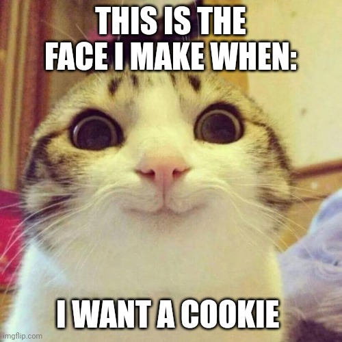 When I want a cookie | THIS IS THE FACE I MAKE WHEN:; I WANT A COOKIE | image tagged in memes,smiling cat | made w/ Imgflip meme maker