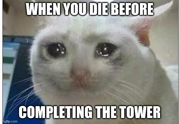 crying cat | WHEN YOU DIE BEFORE; COMPLETING THE TOWER | image tagged in crying cat | made w/ Imgflip meme maker