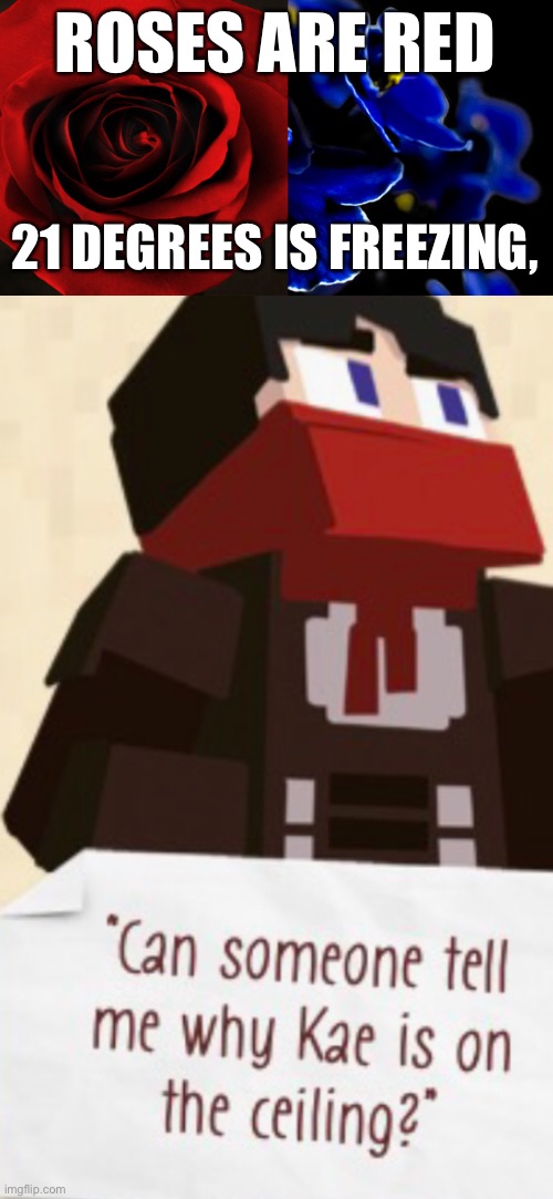 Hmmm | ROSES ARE RED; 21 DEGREES IS FREEZING, | image tagged in roses are red violets are blue,minecraft,diary of an 8-bit kitten,oh wow are you actually reading these tags | made w/ Imgflip meme maker