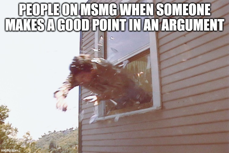 Can't handle admitting that you lost | PEOPLE ON MSMG WHEN SOMEONE MAKES A GOOD POINT IN AN ARGUMENT | image tagged in jump out a window | made w/ Imgflip meme maker