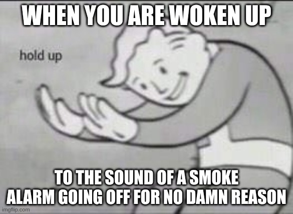 My smoke alarm when i am sleeping | WHEN YOU ARE WOKEN UP; TO THE SOUND OF A SMOKE ALARM GOING OFF FOR NO DAMN REASON | image tagged in fallout hold up | made w/ Imgflip meme maker