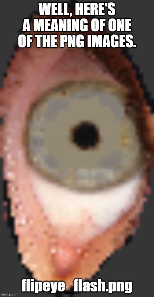 I have over 50 of these that were used for the mod. | WELL, HERE'S A MEANING OF ONE OF THE PNG IMAGES. flipeye_flash.png | made w/ Imgflip meme maker