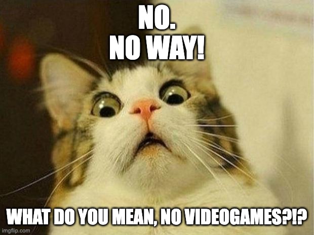 Scared Cat | NO.
NO WAY! WHAT DO YOU MEAN, NO VIDEOGAMES?!? | image tagged in memes,scared cat | made w/ Imgflip meme maker