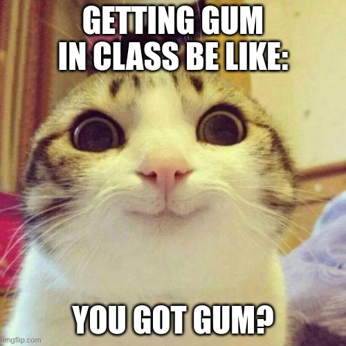 Smiling Cat | GETTING GUM IN CLASS BE LIKE:; YOU GOT GUM? | image tagged in memes,smiling cat | made w/ Imgflip meme maker