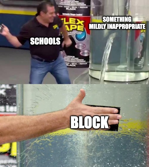 schools | SOMETHING MILDLY INAPPROPRIATE; SCHOOLS; BLOCK | image tagged in flex tape,school,blocked | made w/ Imgflip meme maker