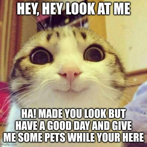 Cattox | HEY, HEY LOOK AT ME; HA! MADE YOU LOOK BUT HAVE A GOOD DAY AND GIVE ME SOME PETS WHILE YOUR HERE | image tagged in memes,smiling cat | made w/ Imgflip meme maker