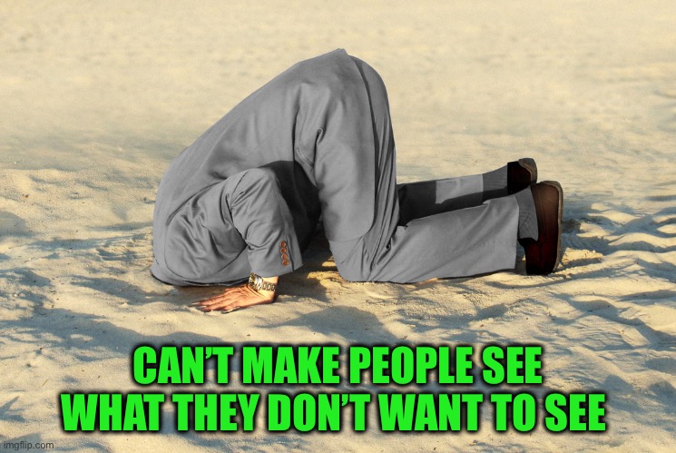 head in sand | CAN’T MAKE PEOPLE SEE WHAT THEY DON’T WANT TO SEE | image tagged in head in sand | made w/ Imgflip meme maker