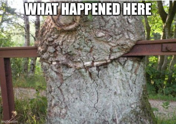 ... | WHAT HAPPENED HERE | image tagged in what the heck,ayo | made w/ Imgflip meme maker
