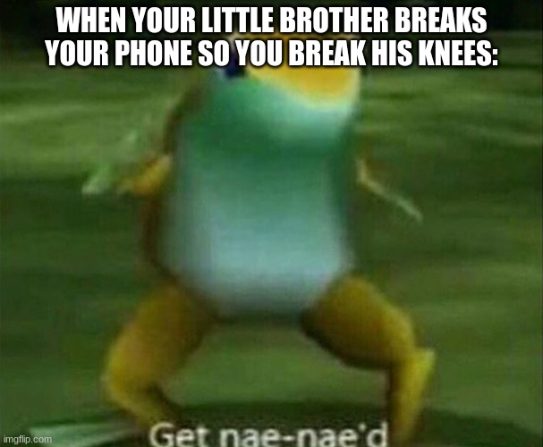 Get nae-nae'd | WHEN YOUR LITTLE BROTHER BREAKS YOUR PHONE SO YOU BREAK HIS KNEES: | image tagged in get nae-nae'd | made w/ Imgflip meme maker