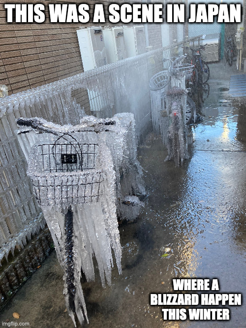 Winter Scene in Japan | THIS WAS A SCENE IN JAPAN; WHERE A BLIZZARD HAPPEN THIS WINTER | image tagged in winter,blizzard,memes | made w/ Imgflip meme maker