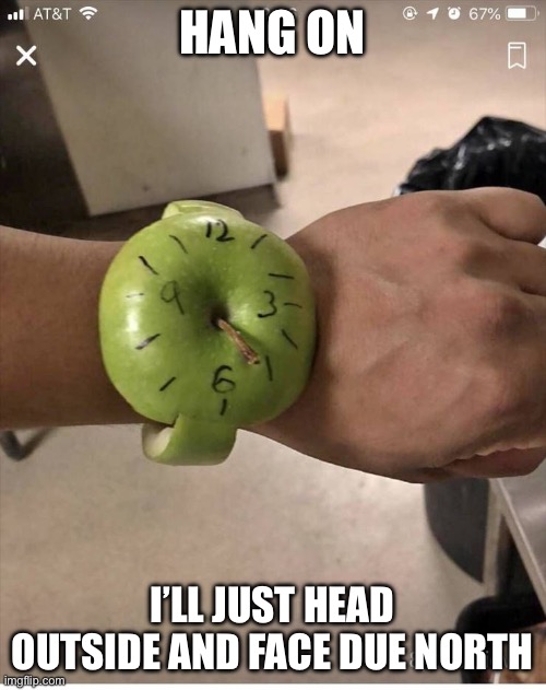 The Apple Watch | HANG ON I’LL JUST HEAD OUTSIDE AND FACE DUE NORTH | image tagged in the apple watch | made w/ Imgflip meme maker