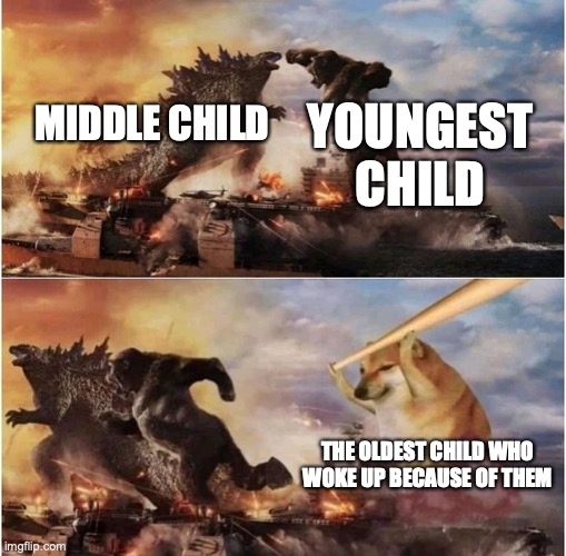 life of three | YOUNGEST CHILD; MIDDLE CHILD; THE OLDEST CHILD WHO WOKE UP BECAUSE OF THEM | image tagged in kong godzilla doge,family,siblings,lol,funny,dank memes | made w/ Imgflip meme maker