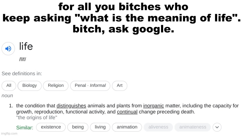 for all you bitches who keep asking "what is the meaning of life". 
bitch, ask google. | made w/ Imgflip meme maker