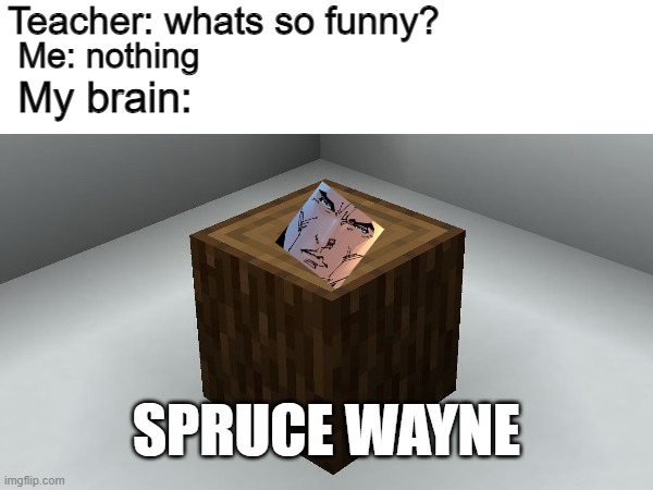 i died when i thought of this | Teacher: whats so funny? Me: nothing; My brain:; SPRUCE WAYNE | image tagged in bruce wayne | made w/ Imgflip meme maker