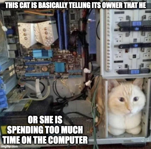 Cat Inside CPU | THIS CAT IS BASICALLY TELLING ITS OWNER THAT HE; OR SHE IS SPENDING TOO MUCH TIME ON THE COMPUTER | image tagged in cats,computer,memes | made w/ Imgflip meme maker