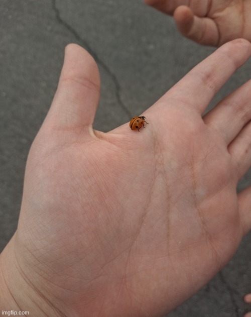 i love him | made w/ Imgflip meme maker