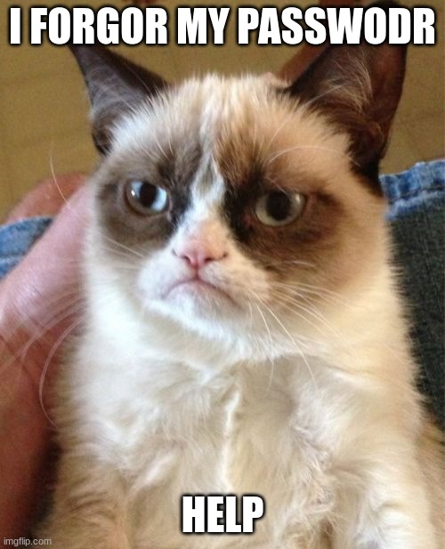 bro why | I FORGOR MY PASSWODR; HELP | image tagged in memes,grumpy cat | made w/ Imgflip meme maker