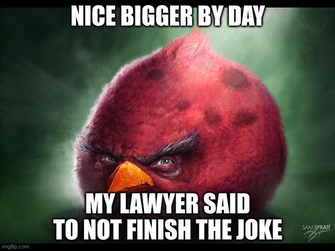 red bird angy | NICE BIGGER BY DAY; MY LAWYER SAID TO NOT FINISH THE JOKE | image tagged in angry birds,goofy ahh,bruh moment,funny memes,memes | made w/ Imgflip meme maker