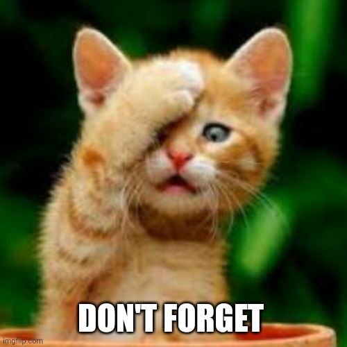 forgot cat | DON'T FORGET | image tagged in forgot cat | made w/ Imgflip meme maker